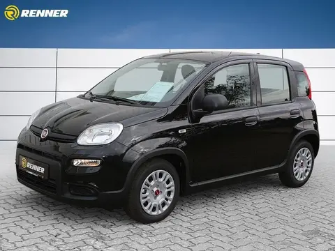 Annonce FIAT PANDA Essence 2024 d'occasion 