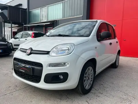 Used FIAT PANDA Diesel 2018 Ad 