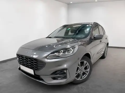 Annonce FORD KUGA Diesel 2023 d'occasion 