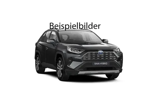 Used TOYOTA RAV4 Hybrid 2024 Ad Germany