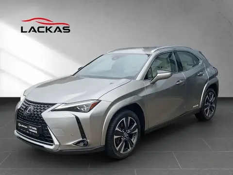 Annonce LEXUS UX Hybride 2022 d'occasion 