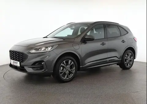 Used FORD KUGA Hybrid 2022 Ad 