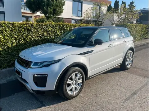 Annonce LAND ROVER RANGE ROVER EVOQUE Diesel 2019 d'occasion 