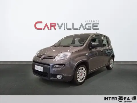 Used FIAT PANDA Hybrid 2023 Ad 