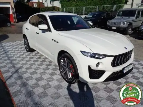 Used MASERATI LEVANTE Diesel 2019 Ad 