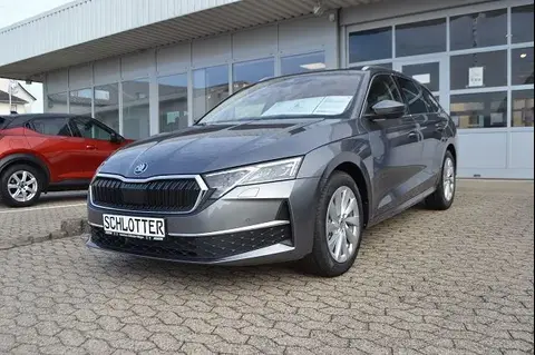 Used SKODA OCTAVIA Petrol 2024 Ad 