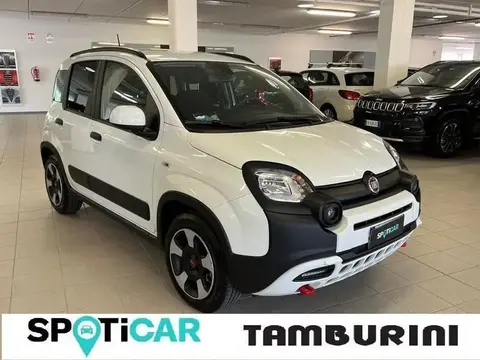 Annonce FIAT PANDA Hybride 2024 d'occasion 