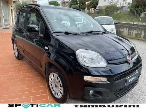 Annonce FIAT PANDA Essence 2016 d'occasion 