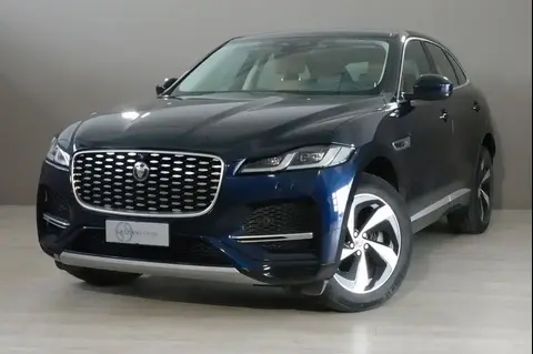 Used JAGUAR F-PACE Hybrid 2021 Ad 