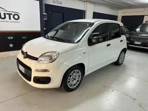 Used FIAT PANDA Hybrid 2022 Ad 