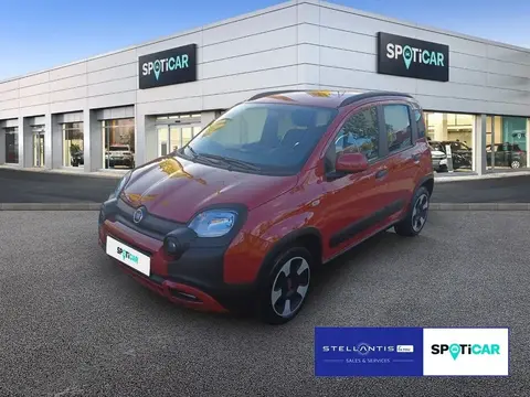 Used FIAT PANDA Hybrid 2023 Ad 