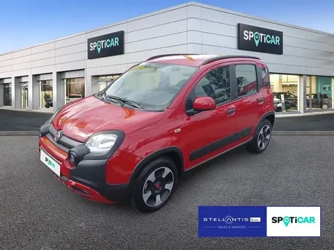 Used FIAT PANDA Hybrid 2023 Ad 