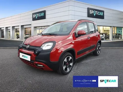 Annonce FIAT PANDA Hybride 2023 d'occasion 