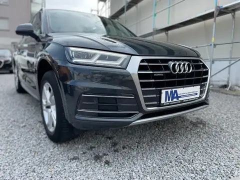 Used AUDI Q5 Diesel 2017 Ad 