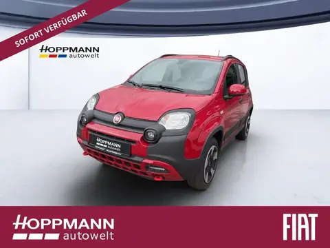 Used FIAT PANDA Petrol 2024 Ad 