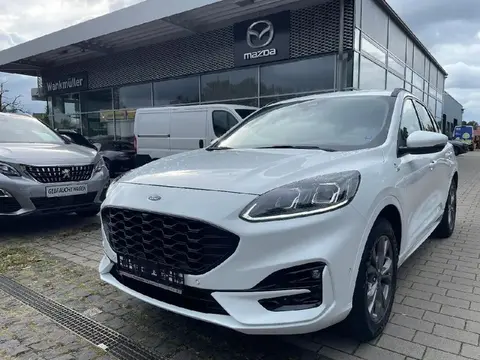 Used FORD KUGA Petrol 2020 Ad 