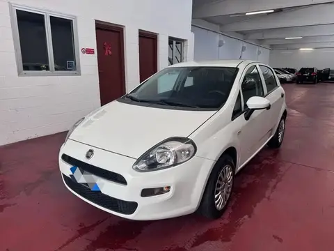 Used FIAT PUNTO LPG 2017 Ad 