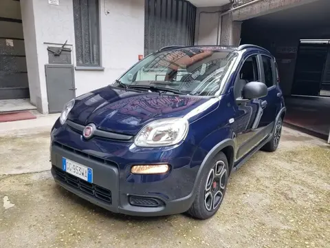 Used FIAT PANDA Hybrid 2021 Ad 