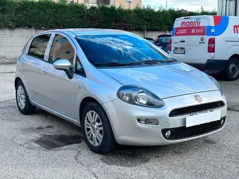 Used FIAT PUNTO Diesel 2017 Ad 