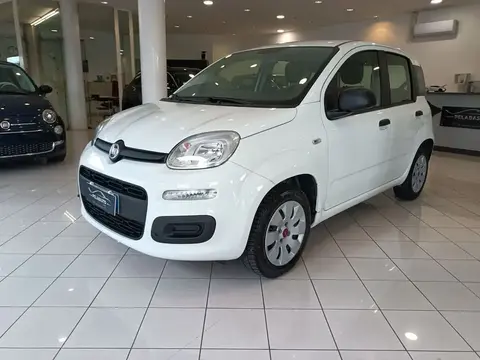 Used FIAT PANDA Petrol 2019 Ad 