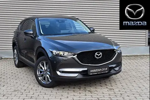 Used MAZDA CX-5 Petrol 2021 Ad 