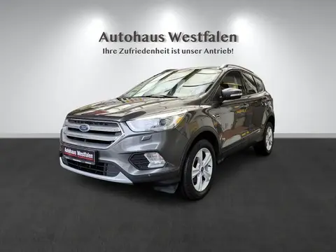 Annonce FORD KUGA Essence 2019 d'occasion 