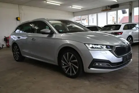 Used SKODA OCTAVIA Diesel 2020 Ad 