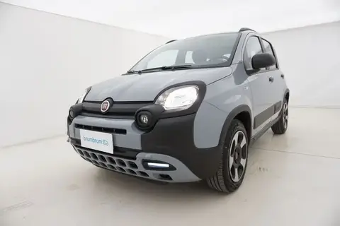 Used FIAT PANDA Hybrid 2021 Ad 