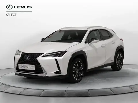 Annonce LEXUS UX Hybride 2020 d'occasion 