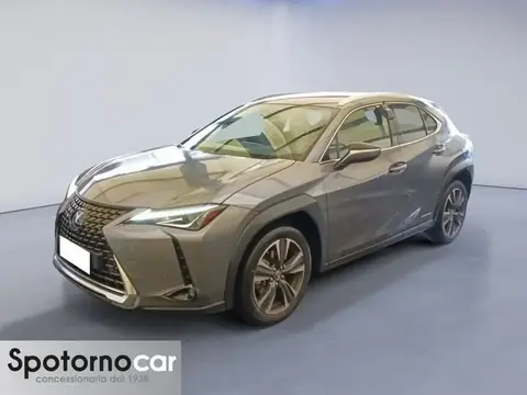 Used LEXUS UX Hybrid 2020 Ad 