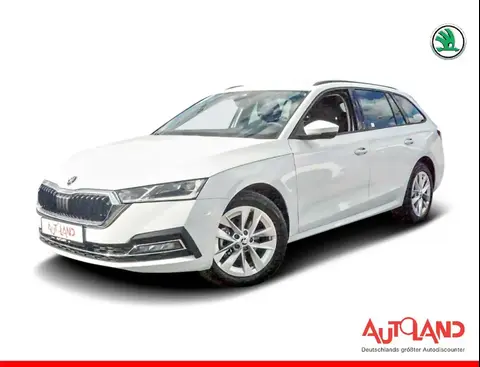 Used SKODA OCTAVIA Petrol 2024 Ad 