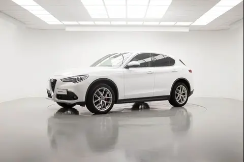 Used ALFA ROMEO STELVIO Diesel 2019 Ad 