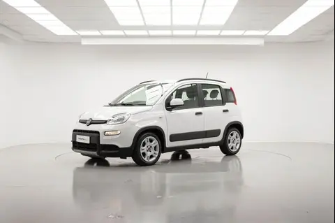 Used FIAT PANDA Petrol 2023 Ad 