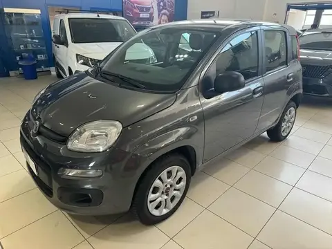 Annonce FIAT PANDA  2017 d'occasion 