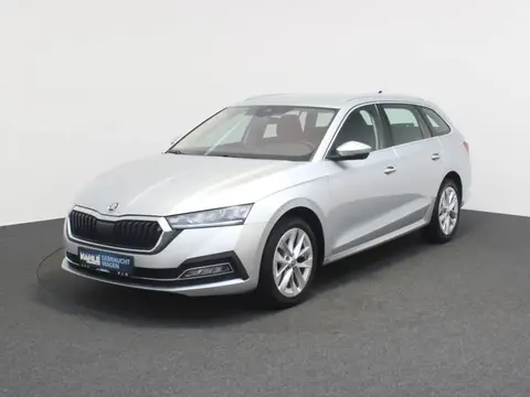 Annonce SKODA OCTAVIA Diesel 2021 d'occasion 