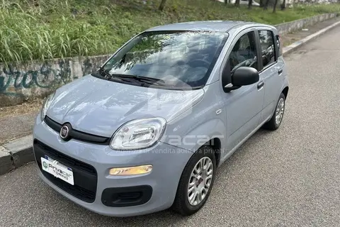 Annonce FIAT PANDA Essence 2019 d'occasion 