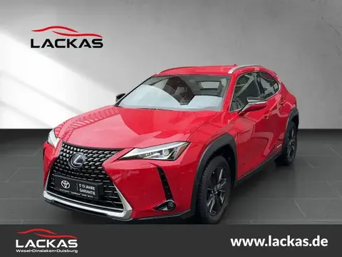 Annonce LEXUS UX Hybride 2020 d'occasion 