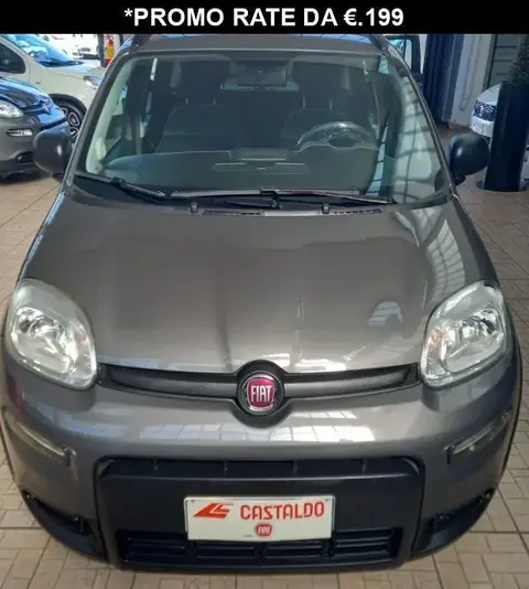 Used FIAT PANDA Hybrid 2021 Ad 