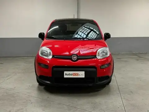 Annonce FIAT PANDA Hybride 2021 d'occasion 