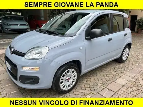 Used FIAT PANDA Petrol 2020 Ad 