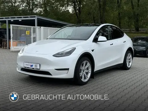 Used TESLA MODEL Y Not specified 2022 Ad 