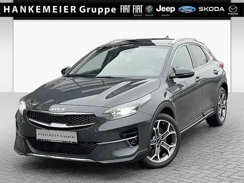 Used KIA XCEED Petrol 2022 Ad 