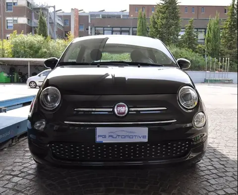 Used FIAT 500 Petrol 2019 Ad 