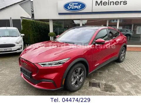 Used FORD MUSTANG Not specified 2022 Ad 