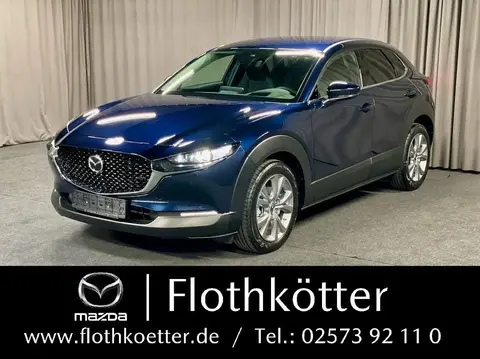 Used MAZDA CX-30 Hybrid 2023 Ad 