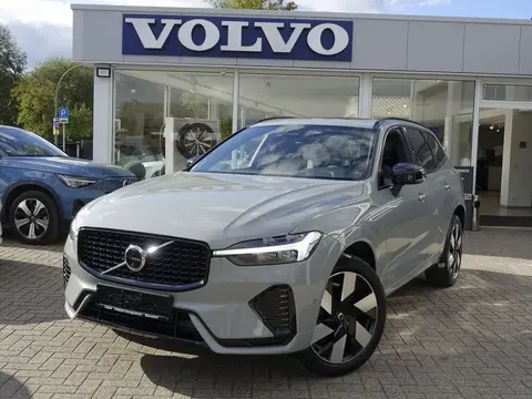 Used VOLVO XC60 Hybrid 2024 Ad 