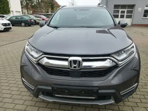 Annonce HONDA CR-V Hybride 2020 d'occasion 