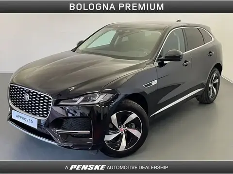 Used JAGUAR F-PACE Hybrid 2021 Ad 