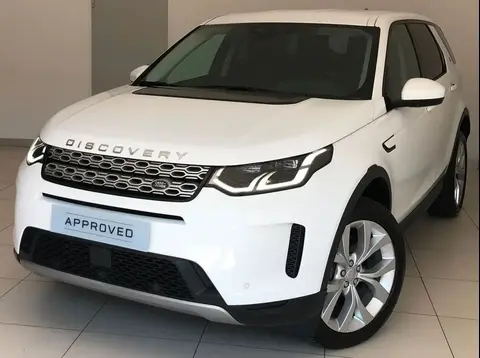 Used LAND ROVER DISCOVERY Hybrid 2022 Ad 