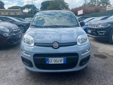 Annonce FIAT PANDA Hybride 2021 d'occasion 